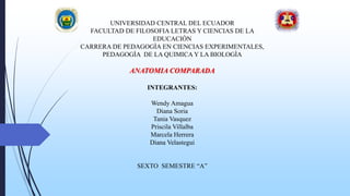 UNIVERSIDAD CENTRAL DEL ECUADOR
FACULTAD DE FILOSOFIA LETRAS Y CIENCIAS DE LA
EDUCACIÓN
CARRERA DE PEDAGOGÌA EN CIENCIAS EXPERIMENTALES,
PEDAGOGÌA DE LA QUIMICA Y LA BIOLOGÌA
ANATOMIA COMPARADA
INTEGRANTES:
Wendy Amagua
Diana Soria
Tania Vasquez
Priscila Villalba
Marcela Herrera
Diana Velastegui
SEXTO SEMESTRE “A”
 