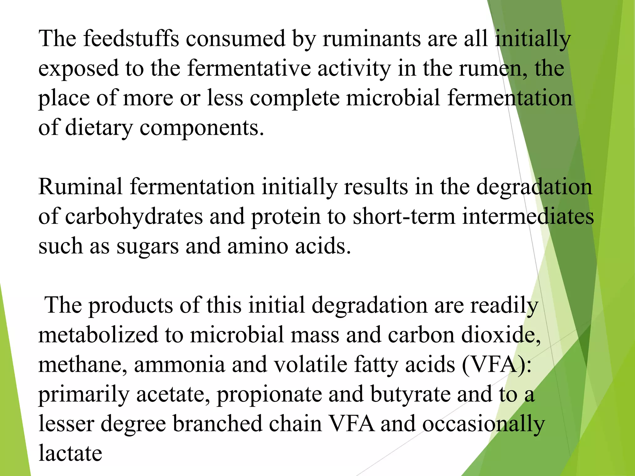 The feedstuffs consumed by ruminants are all initially
exposed to the fermentative activity in the rumen, the
place of more or less complete microbial fermentation
of dietary components.
Ruminal fermentation initially results in the degradation
of carbohydrates and protein to short-term intermediates
such as sugars and amino acids.
The products of this initial degradation are readily
metabolized to microbial mass and carbon dioxide,
methane, ammonia and volatile fatty acids (VFA):
primarily acetate, propionate and butyrate and to a
lesser degree branched chain VFA and occasionally
lactate
 