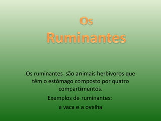 Os ruminantes  são animais herbívoros que têm o estômago composto por quatro compartimentos. Exemplos de ruminantes:  a vaca e a ovelha 