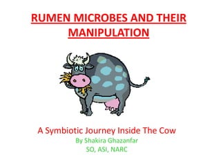 RUMEN MICROBES AND THEIR
MANIPULATION
A Symbiotic Journey Inside The Cow
By Shakira Ghazanfar
SO, ASI, NARC
 