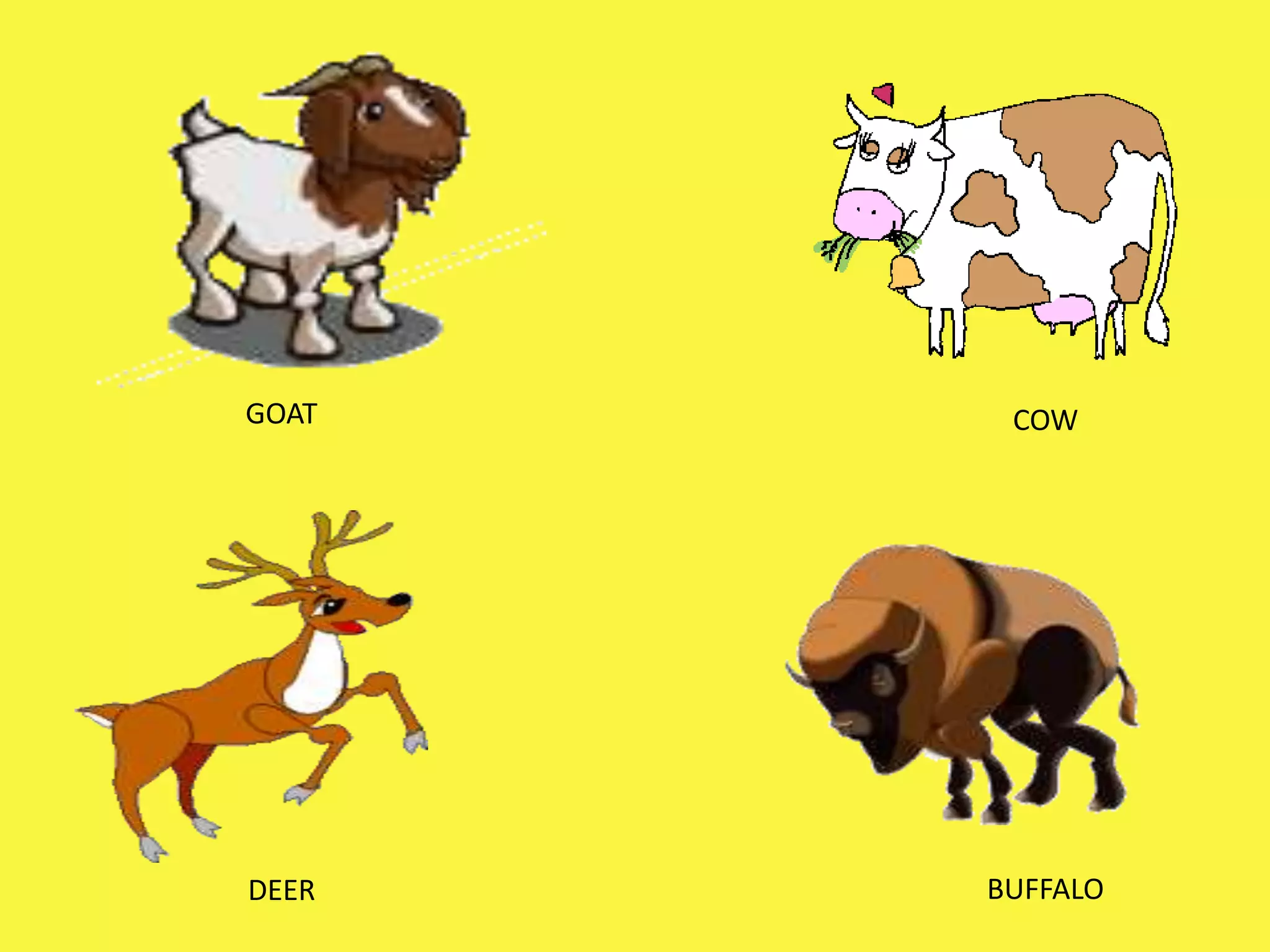 Ruminants VS Monogastrics | PPTX