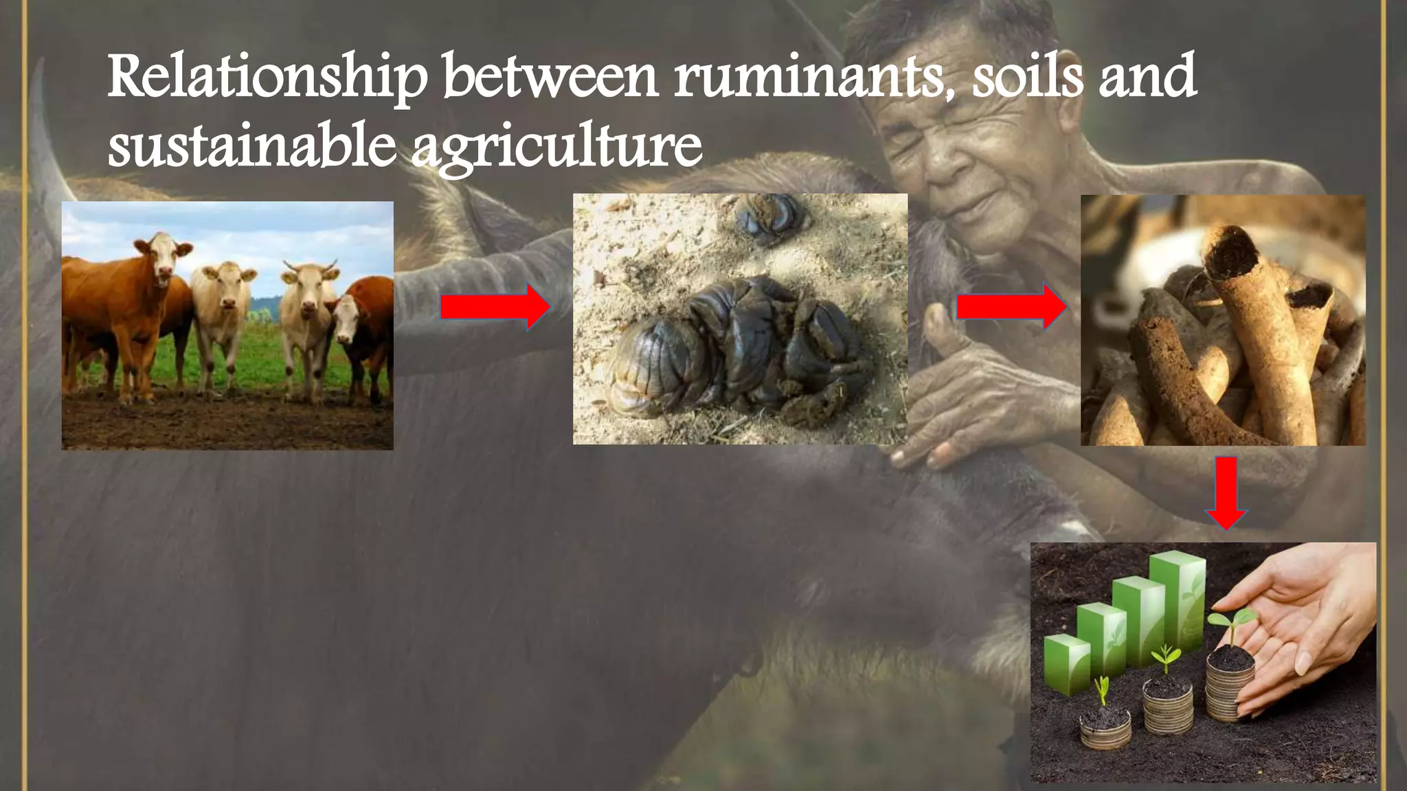 Role of ruminants in sustainable agriculture | PPTX