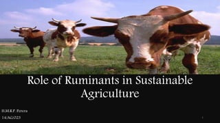 Role of Ruminants in Sustainable
Agriculture
H.M.R.P. Perera
14/AG/023 1
 