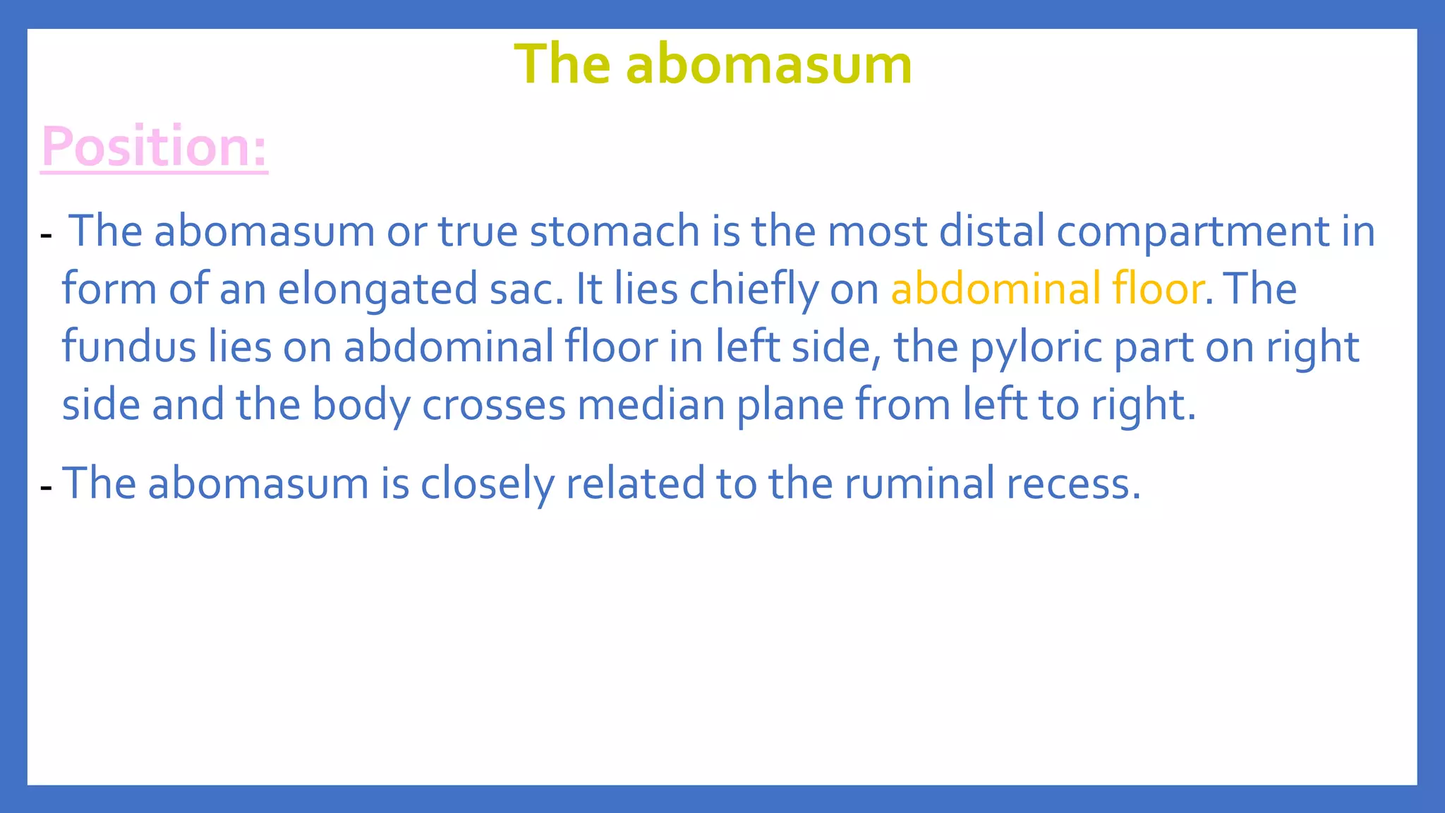 Anatomy of the Ruminant Stomach | PPTX