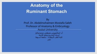 Anatomy of the
Ruminant Stomach
By
Prof. Dr. Abdelmohaimen Mostafa Saleh
Professor of Anatomy & Embryology
Assiut University
 