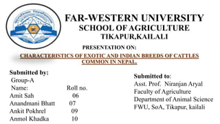 FAR-WESTERN UNIVERSITY
SCHOOL OF AGRICULTURE
TIKAPUR,KAILALI
PRESENTATION ON:
CHARACTERISTICS OF EXOTIC AND INDIAN BREEDS OF CATTLES
COMMON IN NEPAL.
Submitted by:
Group-A
Name: Roll no.
Amit Sah 06
Anandmani Bhatt 07
Ankit Pokhrel 09
Anmol Khadka 10
Submitted to:
Asst. Prof. Niranjan Aryal
Faculty of Agriculture
Department of Animal Science
FWU, SoA, Tikapur, kailali
 