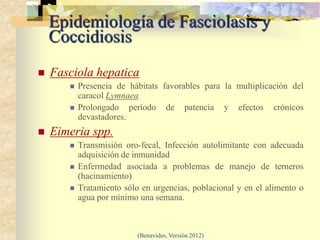 Epidemiología de Fasciolasis y
    Coccidiosis
   Fasciola hepatica
          Presencia de hábitats favorables para la multiplicación del
           caracol Lymnaea
          Prolongado período de patencia y efectos crónicos
           devastadores.
   Eimeria spp.
          Transmisión oro-fecal, Infección autolimitante con adecuada
           adquisición de inmunidad
          Enfermedad asociada a problemas de manejo de terneros
           (hacinamiento)
          Tratamiento sólo en urgencias, poblacional y en el alimento o
           agua por mínimo una semana.



                           (Benavides, Versión 2012)
 