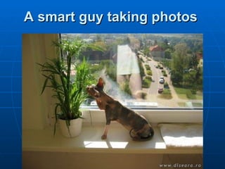 A smart guy taking photos