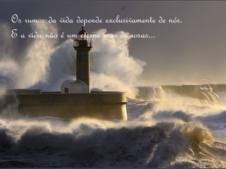 Os rumos da vida depende exclusivamente de nós.
E a vida não é um eterno mar de rosas...
 