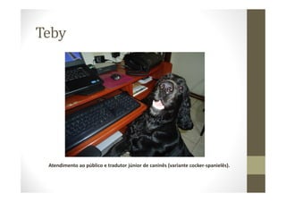 Teby
Atendimento ao público e tradutor júnior de caninês (variante cocker-spanielês).
 