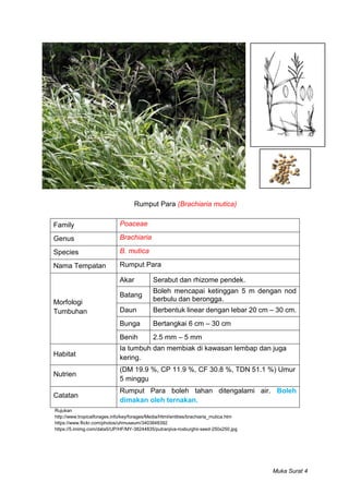 Contoh Rumput Rumpai Rumpai di Bawah Kelapa Sawit | PDF