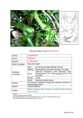 Rumpai di Bawah Kelapa Sawit | PDF