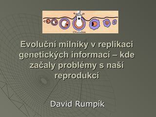 Evoluční milníky v replikaciEvoluční milníky v replikaci
genetických informací – kdegenetických informací – kde
začaly problémy s našízačaly problémy s naší
reprodukcíreprodukcí
David RumpíkDavid Rumpík
 