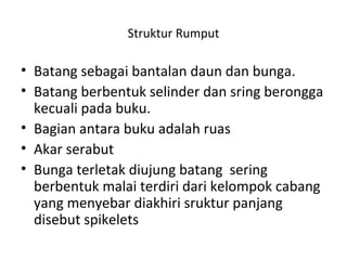Rumput | PPT
