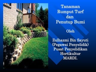 Tanaman Rumput Turf  dan  Penutup Bumi Oleh Zulhazmi Bin Sayuti (Pegawai Penyelidik) Pusat Penyelidikan Hortikultur MARDI. 