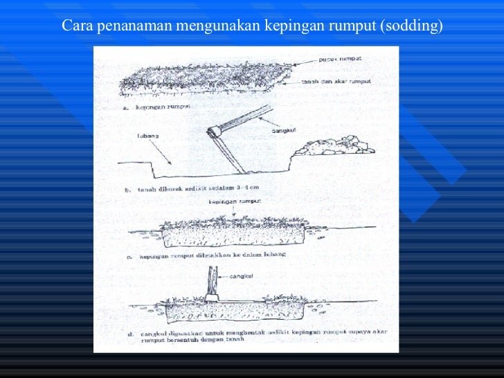 iRumputi Turf iRumputi Turf