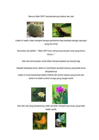 Namun Allah SWT memberikannya kaktus dan ulat

Lelaki ini sedih, tidak mengerti kenapa pemberian-Nya berbeda dengan apa-apa
yang dia minta

Kemudian dia berfikir : "Allah SWT kan mempunyai banyak umat yang harus
diurus..."

Dan dia memutuskan untuk tidak mempersoalkannya doanya lagi

Setelah beberapa lama, lelaki ini memikirkan kembali doanya yang telah lama
dilupakannya
Lelaki ini amat terperanjat ketika melihat dari pohon kaktus yang buruk dan
berduri itu telah tumbuh bunga yang sangat cantik

Dan dari ulat yang terselubung, telah berubah menjadi kupu-kupu yang tidak
kalah cantik

 