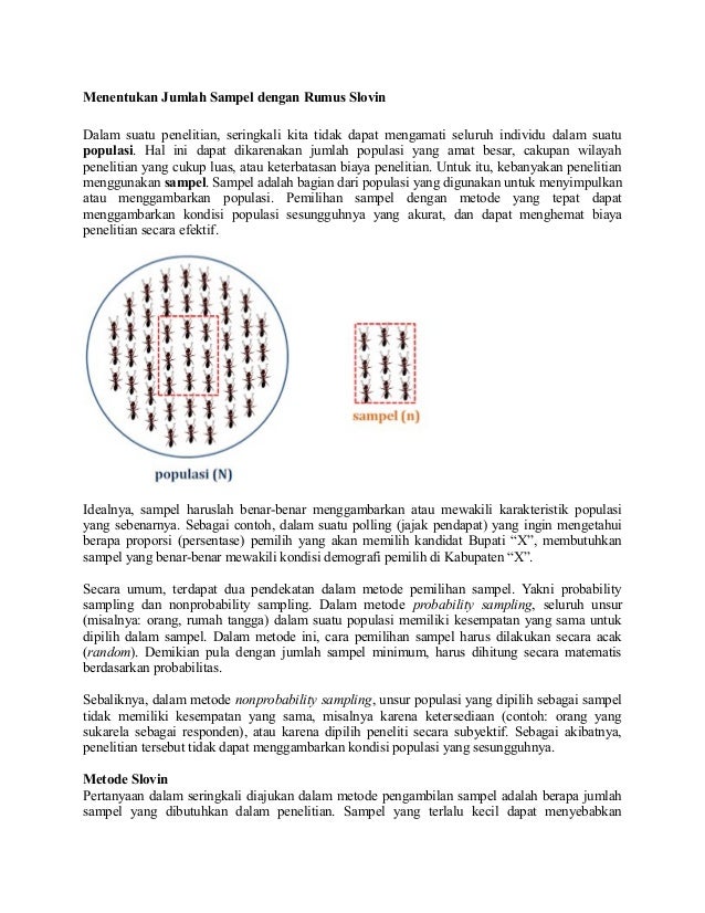 Rumus Slovin Tina Regar