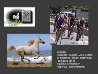 Eihwaz:
mudanza, traslado, viaje, noblez
a, elegancia, gracia, diplomacia,
cuidados con la
estetica, competición
deportiva, contemplación.
 