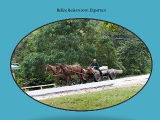 Belize Reisen vom Experten
 