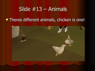 Slide #13 – Animals Theres different animals, chicken is one!