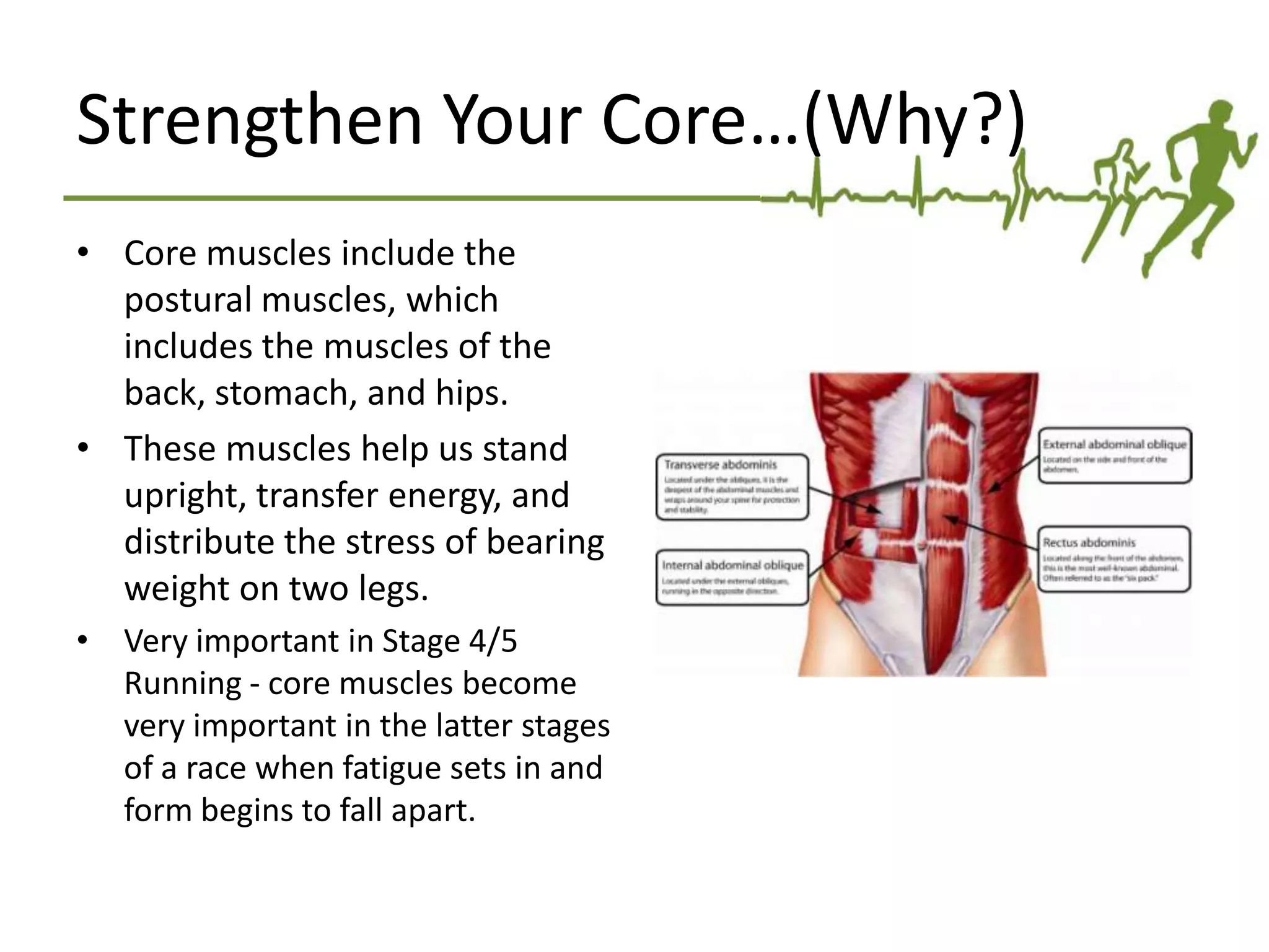 Strengthen Your Core…(Why?)
• Core muscles include the
postural muscles, which
includes the muscles of the
back, stomach, and hips.
• These muscles help us stand
upright, transfer energy, and
distribute the stress of bearing
weight on two legs.
• Very important in Stage 4/5
Running - core muscles become
very important in the latter stages
of a race when fatigue sets in and
form begins to fall apart.
 
