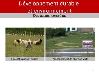 Développement durable  et environnement Eco-pâturages et ruches Des actions concrètes Aménagement de chemins verts 