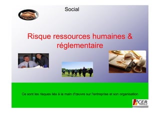 Social




   Risque ressources humaines &
           réglementaire




Ce sont les risques liés à la main d'œuvre sur l'entreprise et son organisation
 