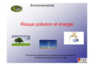 Environnemental




Risque pollution et énergie




  Ce sont les risques liés aux pollutions et aux impacts de
           l'activité de l'entreprise sur son milieu
 