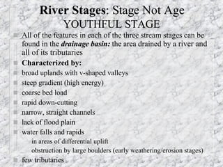 River Stages : Stage Not Age YOUTHFUL STAGE All of the features in each of the three stream stages can be found in the  drainage basin:  the area drained by a  river and all of its tributaries Characterized by:   broad uplands with v-shaped valleys steep gradient (high energy) coarse bed load rapid down-cutting narrow, straight channels  lack of flood plain water falls and rapids in areas of differential uplift  obstruction by large boulders (early weathering/erosion stages) few tributaries  