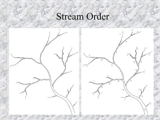 Stream Order 