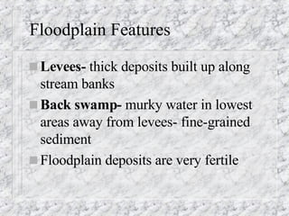 Floodplain Features Levees-  thick deposits built up along stream banks Back swamp-  murky water in lowest areas away from levees- fine-grained sediment Floodplain deposits are very fertile 