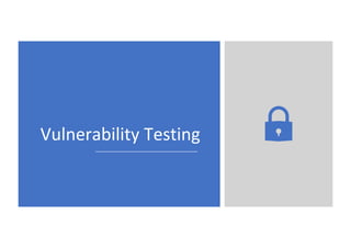 Vulnerability Testing
 