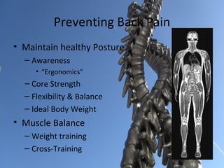 Preventing Back Pain
• Maintain healthy Posture
  – Awareness
     • “Ergonomics”
  – Core Strength
  – Flexibility & Balance
  – Ideal Body Weight
• Muscle Balance
  – Weight training
  – Cross-Training
 