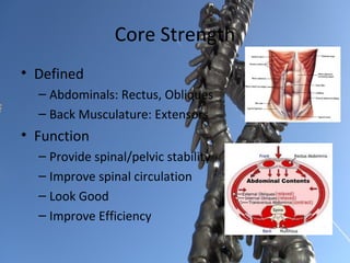 Core Strength
• Defined
  – Abdominals: Rectus, Obliques
  – Back Musculature: Extensors
• Function
  – Provide spinal/pelvic stability
  – Improve spinal circulation
  – Look Good
  – Improve Efficiency
 