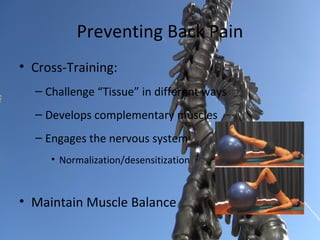 Preventing Back Pain
• Cross-Training:
  – Challenge “Tissue” in different ways
  – Develops complementary muscles
  – Engages the nervous system
     • Normalization/desensitization



• Maintain Muscle Balance
 