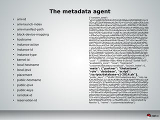 The metadata agent
• ami-id
• ami-launch-index
• ami-manifest-path
• block-device-mapping
• hostname
• instance-action
• instance-id
• instance-type
• kernel-id
• local-hostname
• local-ipv4
• placement
• public-hostname
• public-ipv4
• public-keys
• ramdisk-id
• reservation-id
{"random_seed":
"yJn2cgiJMI/OJ/StW4mFQnFeR2MaboH/Mt9N0MJ1hzv5
GGvLgiGZ8/kW6tebU6L0kI7D+VCIVvGCq6EnDDb2cbt
lenzol26ky8dcqEwnx3qCf4vLpHO+PWONtL7VR2AHR
Q2ZIOO9VXnmCiUFudtCGETlXVXdXbcF4M56UsGy36b
166fZGg/iRibcDVcDUzAnByNmd+Vb2WZH/GVNCGb5
k0p/FVk/97SUpC9i5b+4AJiFXx1e5sK/sHi65514KA8AYe
+jPRw5qrCbgpypLroAWWNvUEJTh5OmQVs229sFY9x
mrIjjUbCg3BhkQnGP6QJ7KQoM2CHROh2cPbOLalaSQ
Mh8SlZia2aqk6RaHrRlHkF0bxe/CZYCnDnYwuHlTGUu
OdTPYeL87iy8VAQao4sulb0Z4uAojiqYgCw6ZsW3iPKx
MvtlKrSkpq+8Clvk1NCplkWj10tWuBNMxgQcazTj+vW
+yAuS2Qk1zp/gOYS670/AtpS+S3ycRf700IOVZnmlWD
jK12Vt2l8Vs/UooDlvKXBzUoOmrNZeSBguyzIsjn1UTr9
K7ghpdtMBE71aQDM+oKvchesInn9jBU9j4DRhdZ3ZC
BFjQheEZKReIUO8rzO/bYYWPcxWEBpVJlqinmkkk8ZV4
bPH5lVgMKFLY+mXygcT/maHNw8fp0ZJEqOjW4c=",
"uuid": "118888de-0dbc-40bb-913e-b372ceb673d7",
"availability_zone": "nova", "hostname":
"custometadatakeys.novalocal", "launch_index": 0,
"meta": {"partner": "thelastone",
"role": "database", "script":
"/scripts/database-v1-2014.sh"},
"public_keys": {"VLAN-120-thelastone-key": "ssh-rsa
AAAAB3NzaC1yc2EAAAABIwAAAQEApNVrYIHoaCcsUf
sSFtArqQJFc3J7aoM0ubUu/j61xjtE9HyhM3aQi5twfNQy
cDj0aBw1XF6PZu3yJ6/gPW+UX7YAl1LwgCH03uXSIrC
FHxKO3JzGaYbgn5/xmEaRuSzl8qnR82tFntn3k3oBXzU
laPspmZZPQ0eJjsp+dF9xZD2JfUgtYm8aN7HnTHg19n
+1PF86twDXvRj46ExpwdTqvY0N+nnEaoW1YQOrdxn
2Bz2bt0enXsDaaq1aOmjzItfGBVRB2WJw8hJTz7hGfLp
TOh+NYUQ6qv0WTHaw7sSnscP533aKDbUznlfr0ogUE
AZ7WWbqPXujETV0+u7SaAMA1Q== Generated by
Novan"}, "name": "custometadatakeys"}
 
