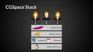 Running DSpace: Technical overview, lessons learned, workflows and essential skills