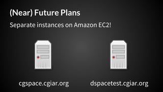 Running DSpace: Technical overview, lessons learned, workflows and essential skills