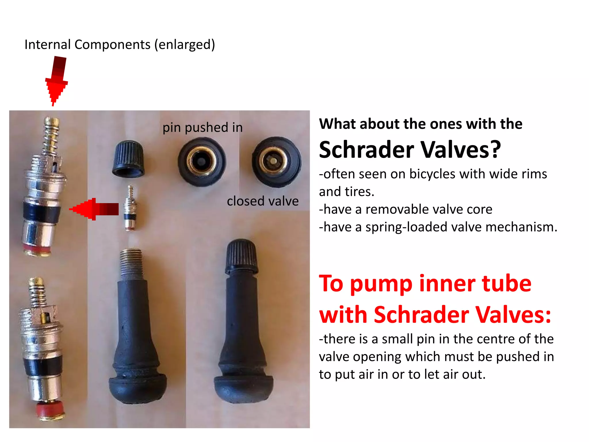 Internal Components (enlarged)




                     pin pushed in              What about the ones with the
                                                Schrader Valves?
                                                -often seen on bicycles with wide rims
                                                and tires.
                                 closed valve
                                                -have a removable valve core
                                                -have a spring-loaded valve mechanism.



                                                To pump inner tube
                                                with Schrader Valves:
                                                -there is a small pin in the centre of the
                                                valve opening which must be pushed in
                                                to put air in or to let air out.
 