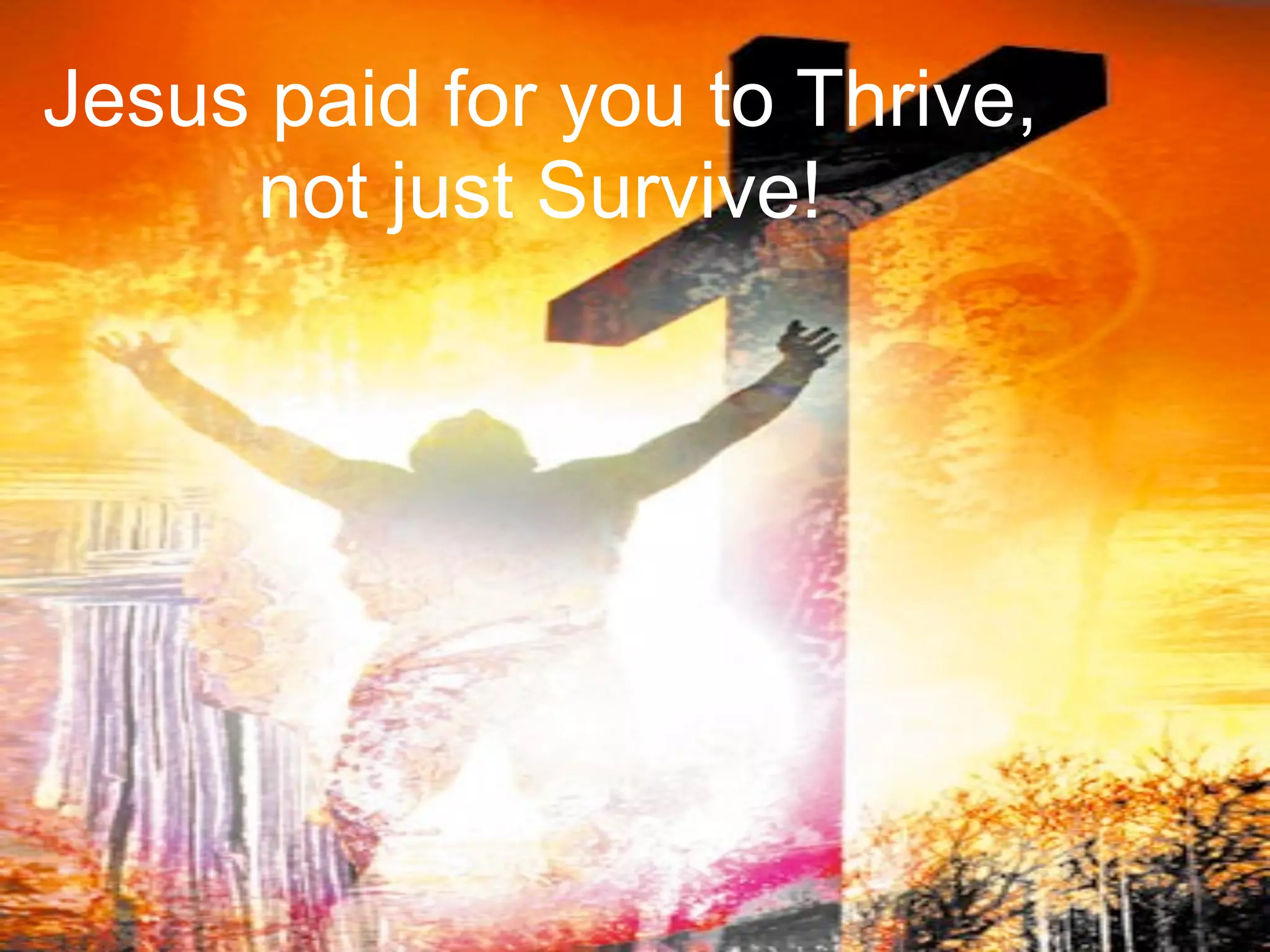 Jesus paid for you to Thrive,
     not just Survive!
 