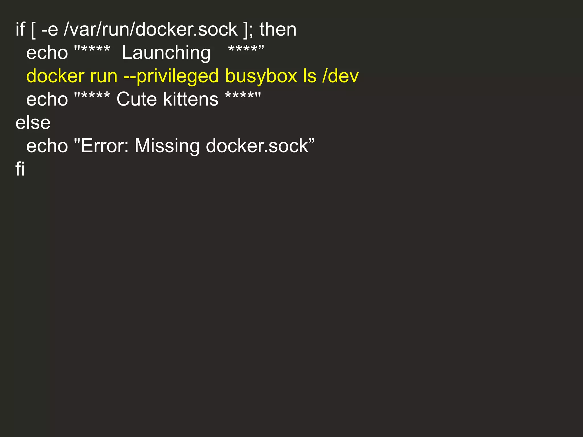 if [ -e /var/run/docker.sock ]; then
echo "**** Launching ****”
docker run --privileged busybox ls /dev
echo "**** Cute kittens ****"
else
echo "Error: Missing docker.sock”
fi
 