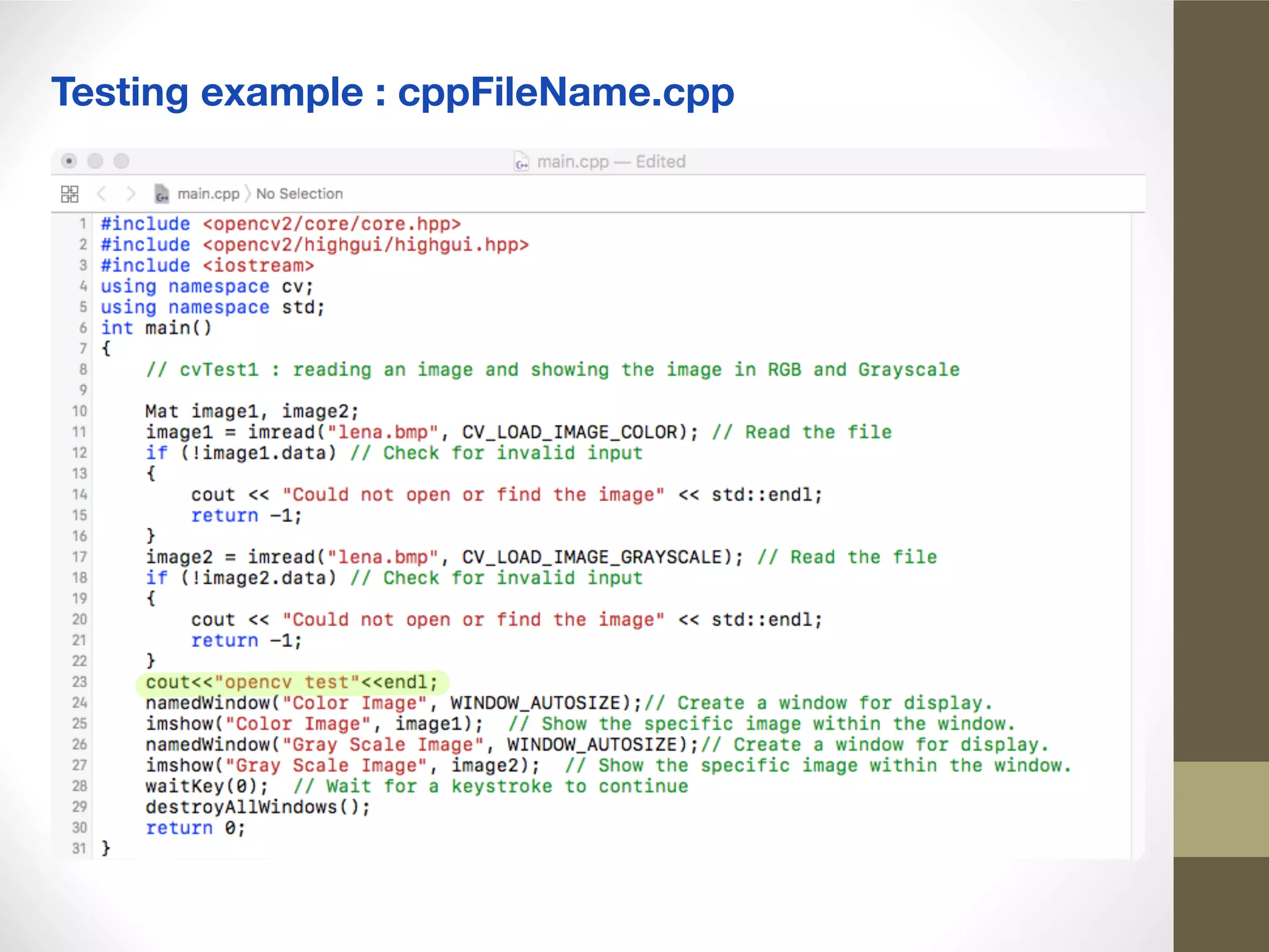 Testing example : cppFileName.cpp
 