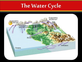 The Water Cycle
 