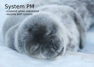 System PM
· suspend when requested
· resume with system
 