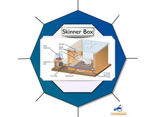 Octalysis
Unpredictability
Unpredictability & Curiosity
Skinner Box
 
