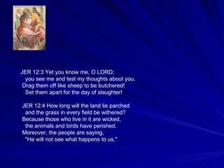 JER 12:3 Yet you know me, O LORD; you see me and test my thoughts about you. Drag them off like sheep to be butchered! Set them apart for the day of slaughter! JER 12:4 How long will the land lie parched and the grass in every field be withered? Because those who live in it are wicked, the animals and birds have perished. Moreover, the people are saying, "He will not see what happens to us." 
