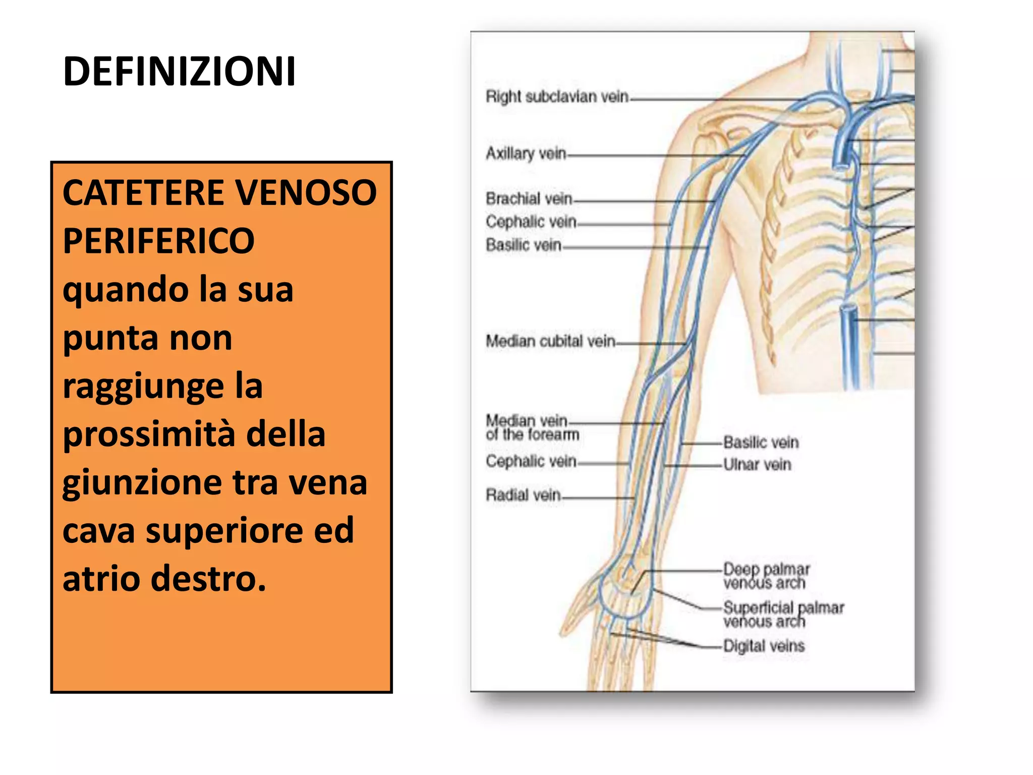 Anatomia per Tutti added a new photo. - Anatomia per Tutti, image size:2048x1536