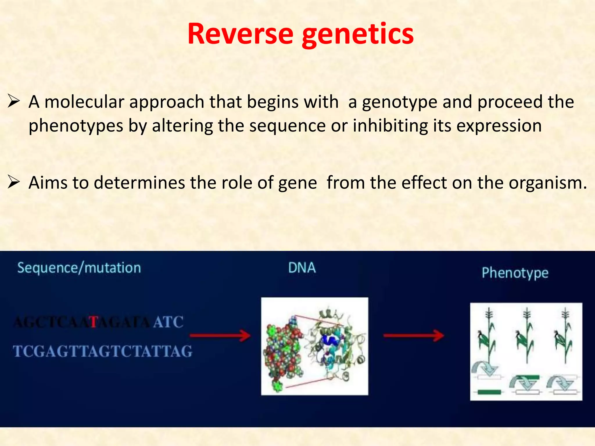REVERSE GENETICS | PPTX
