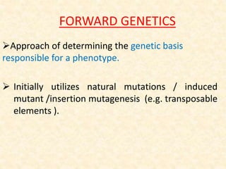 REVERSE GENETICS | PPTX